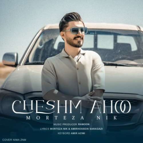 مرتضی نیک چشم آهو